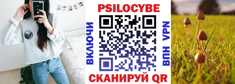 Галлюциногенные грибы Psilocybine cubensis  Купить закладки  Няндома 